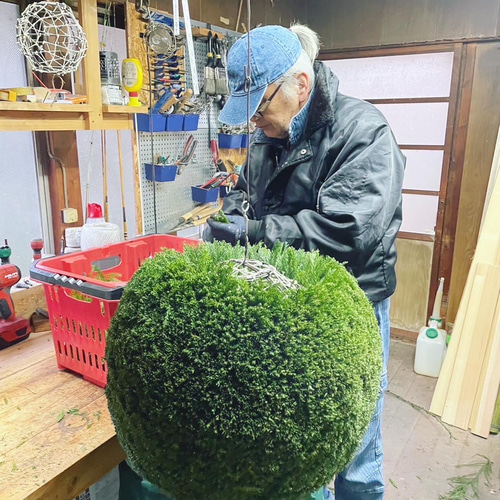 つくりたて杉玉 吉野杉 20センチ 屋根付き-