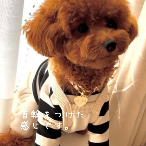 真鍮ネームタグ付き首輪チョーカー、ネックレス ナチュラルヌメ