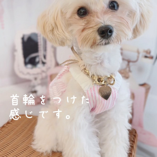 真鍮ネームタグ付き首輪チョーカー、ネックレス ナチュラルヌメ