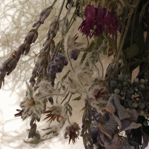 スモークツリー ブルー系 スワッグ ブーケ ドライフラワー