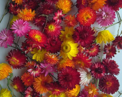 7e08ac71b1e331dd641ab06adaad62