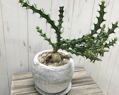 fd56fbf7d5790cf97b14fe02ff4446