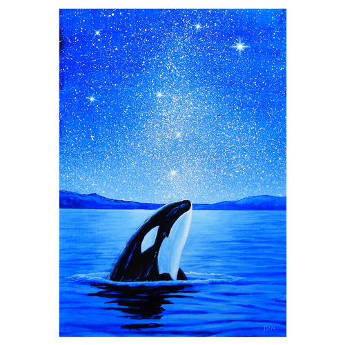 A4アートプリント「星空ウォッチャー」 シャチ 高光沢紙 額なし 版画