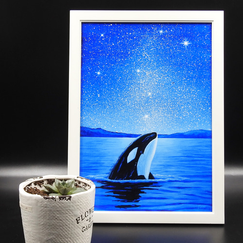 A4アートプリント「星空ウォッチャー」 シャチ 高光沢紙 額なし 版画