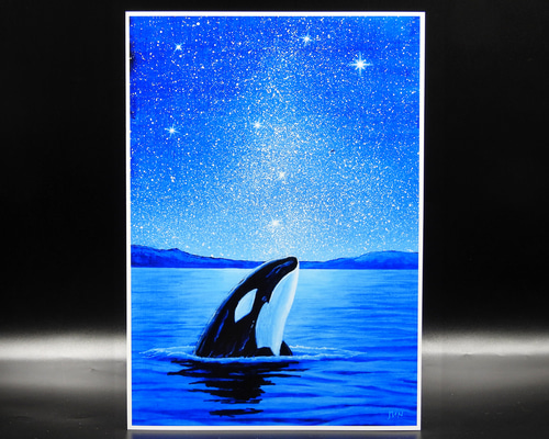 A4アートプリント「星空ウォッチャー」 シャチ 高光沢紙 額なし 版画