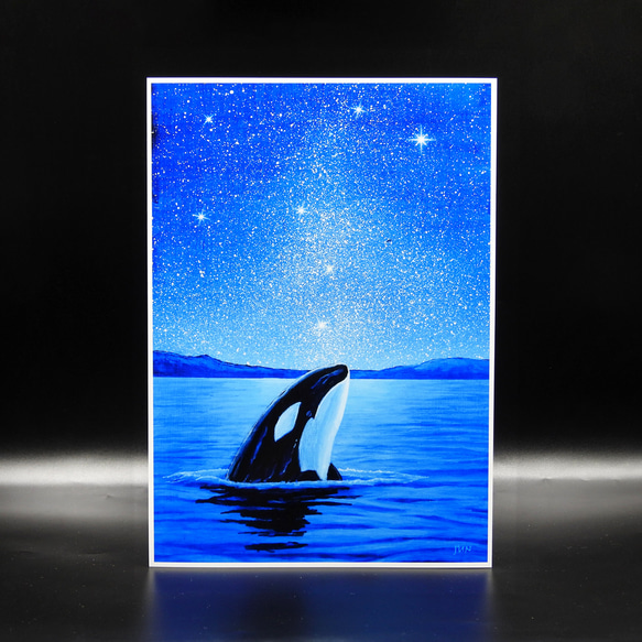 A4アートプリント「星空ウォッチャー」 シャチ 高光沢紙 額なし 版画