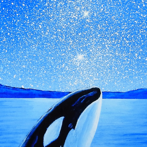 A4アートプリント「星空ウォッチャー」 シャチ 高光沢紙 額なし 版画