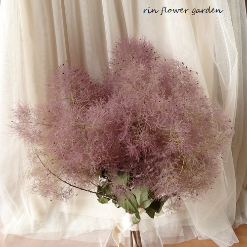 スモークツリーブーケスワッグ 新作 出来たて スモークツリー ワイン色 シンプル スワッグ