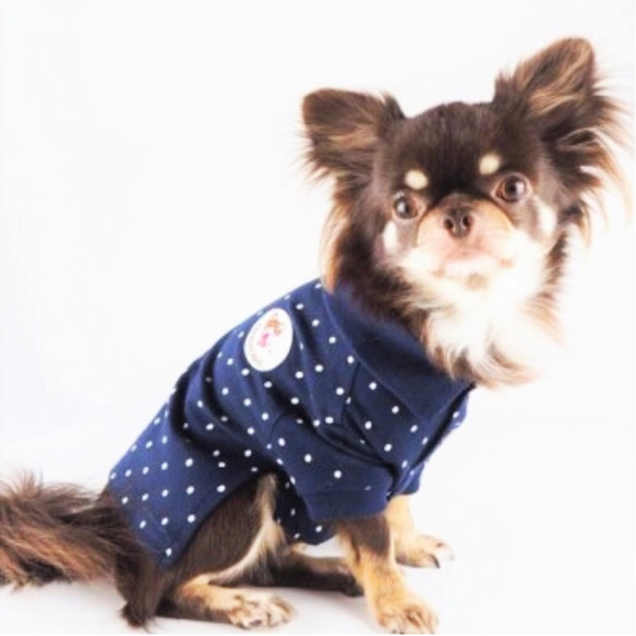 ポロシャツ ドット 水玉 トップス ペット 犬 猫 夏 春 カジュアル 犬服 猫服 ドッグウェア P128 4枚目の画像