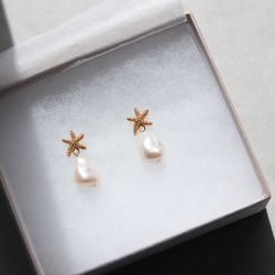 starfish & baroque pearl ピアス （アレルギー対応） 12枚目の画像