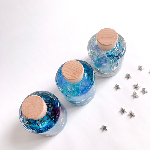 星空のハーバリウム Midnight Blue ハーバリウム・植物標本