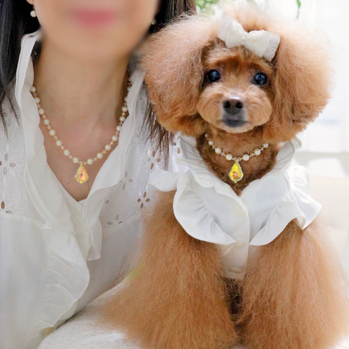 犬服・アクセサリー minc 犬服・アクセサリー minc 楽天市場】MAX10%OFFクーポンあり