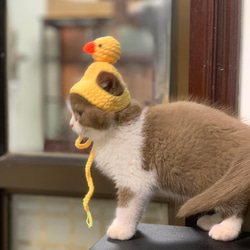 猫の帽子ですコットン糸で編みました。 7枚目の画像