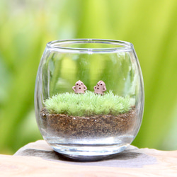 苔むすびの販売中作品一覧 | ハンドメイド通販・販売のCreema