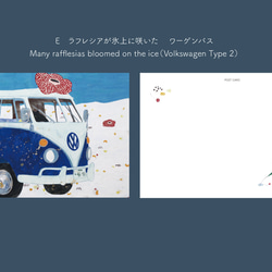 ラフレシアの咲く夢　ポストカード選べる３種類セット 6枚目の画像