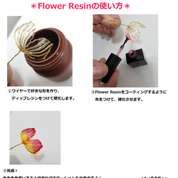 【お得なセット！】Flower Resin コーティングカラー（低粘度筆塗りタイプ）3本セット　ディップアート/ディップ 2枚目の画像