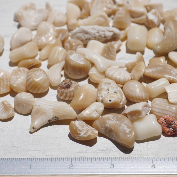 天然石ブラウンホワイトコーラル 約20g分詰合せ 約6～12mm 穴なしさざれ石サンゴ白珊瑚[sa-220708-01] 8枚目の画像
