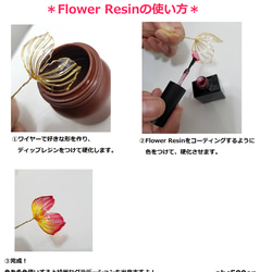 【7/31までお得なセット！】Flower Resin コーティングカラー1本+希釈レジン 25ｇ1本のセット 3枚目の画像