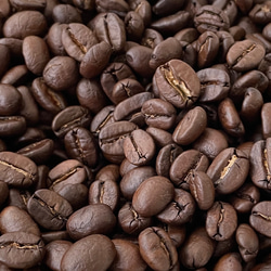送料無料 自家焙煎 東ティモール エルダウトウバ集落 200g YHR-COFFEE 焙煎 コーヒー コーヒー豆 珈琲 1枚目の画像