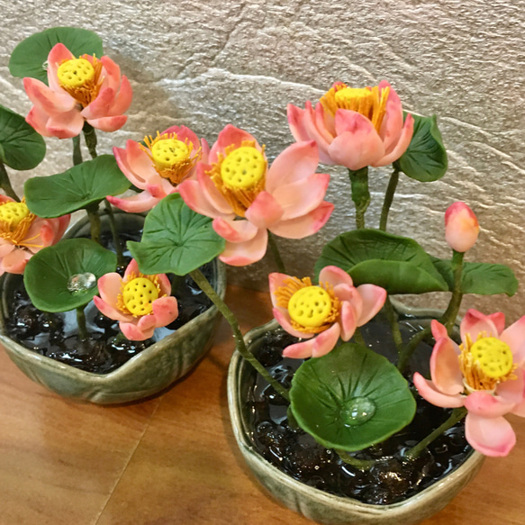 樹脂粘土製 ミニチュア盆栽〈蓮〉 盆栽 AB-Hachi Garden 通販 14256134