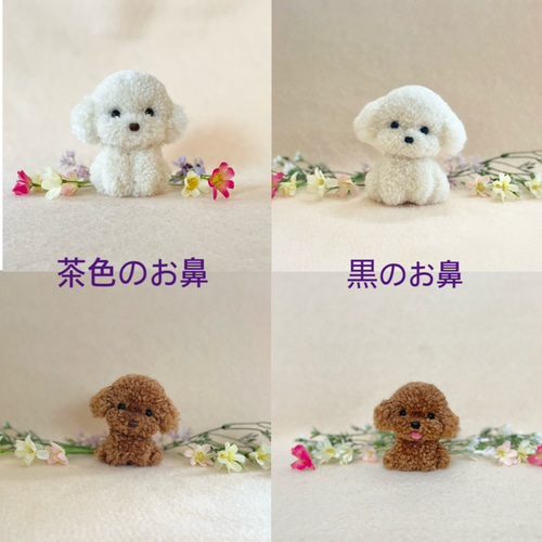 コリアンカット、プードルカットのポンポン 中（舌なし） ビション