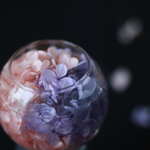 （水換え不要）紫陽花ボール　ピンク×パープル　花手水（はなちょうず） 4枚目の画像
