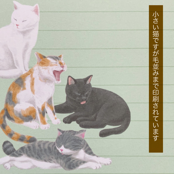 のんびりジャマ猫 / 便箋サイズの大きいメモ帳 5枚目の画像