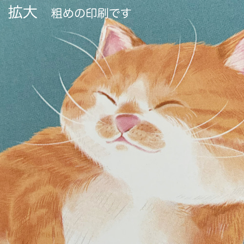 猫 絵 1番 のんびり「yufu猫」