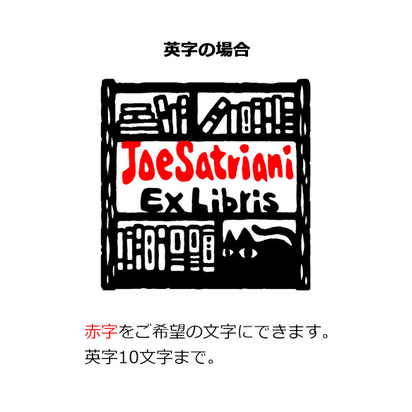 蔵書印・蔵書票（本棚）　 樹脂製 手描きオリジナルデザイン 27mm角 正方形 4枚目の画像