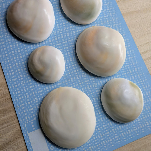 夜光貝のフタ磨きキット キット 夜光貝jewelry KOKORO 通販 14258209