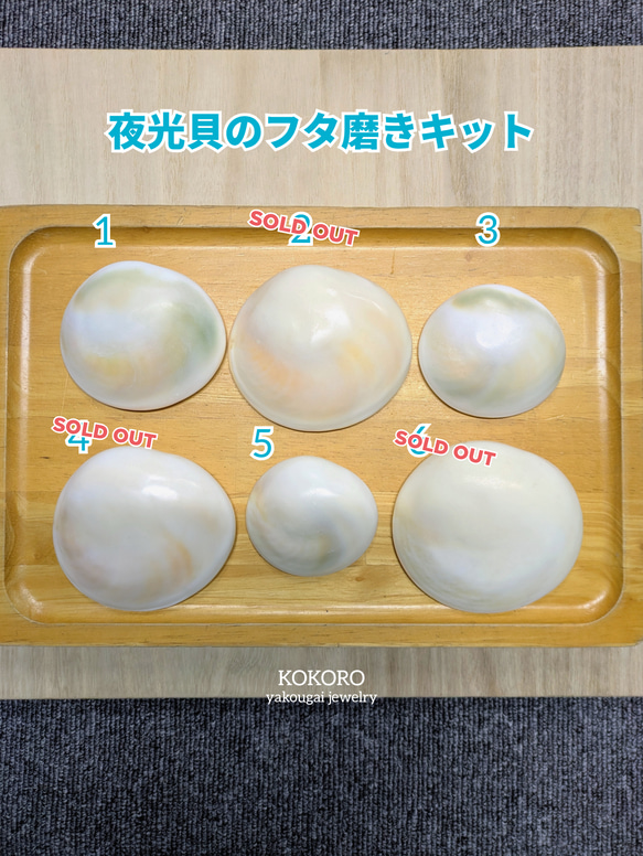 夜光貝のフタ磨きキット キット 夜光貝jewelry KOKORO 通販 14258209