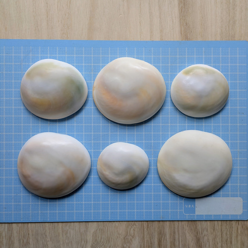 夜光貝のフタ磨きキット キット 夜光貝jewelry KOKORO 通販 14258209