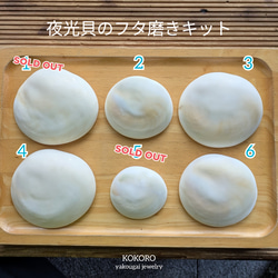 『kome』【夜光貝大中セットＤ-4】沖縄県産夜光貝 大型夜光貝 沖縄県産 磨き上げ済み 19cm 730グラム前後 美品
