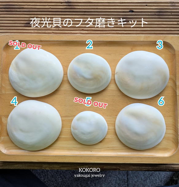 『kome』【訳アリ中セット7】沖縄県産夜光貝 6a2e620cee6bc28cae6f7fa9240b3d