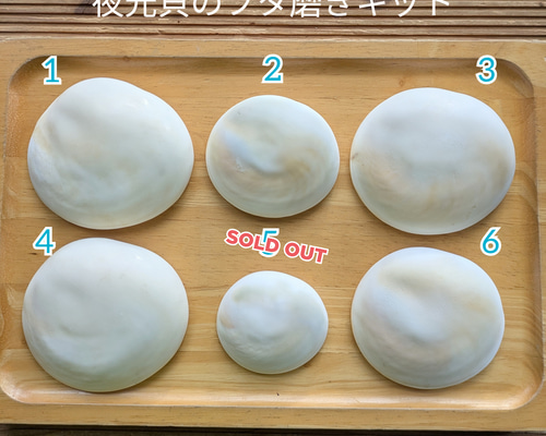 20d62a4afb493602d5bfc96a875668