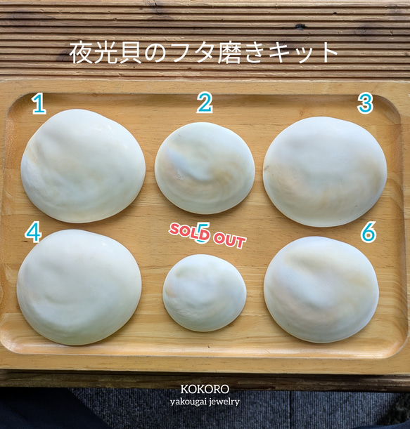 夜光貝のフタ磨きキット キット 夜光貝jewelry KOKORO 通販