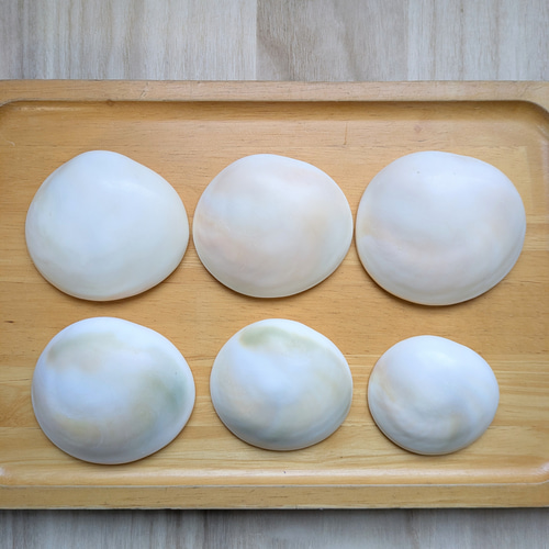 夜光貝のフタ磨きキット キット 夜光貝jewelry KOKORO 通販 14258209