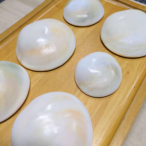 夜光貝のフタ磨きキット キット 夜光貝jewelry KOKORO 通販 14258209