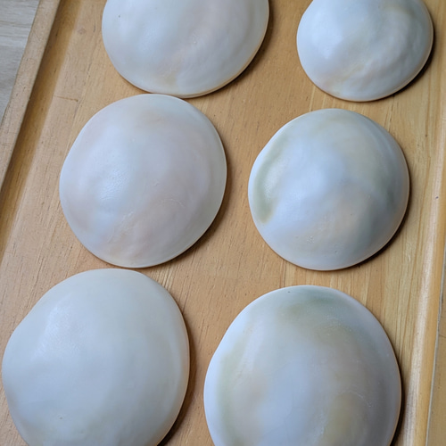 夜光貝のフタ磨きキット キット 夜光貝jewelry KOKORO 通販 14258209