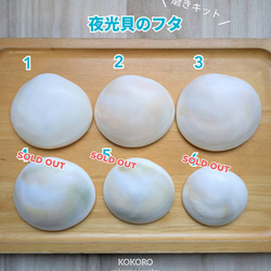 夜光貝のフタ磨きキット キット 夜光貝jewelry KOKORO 通販 14258209