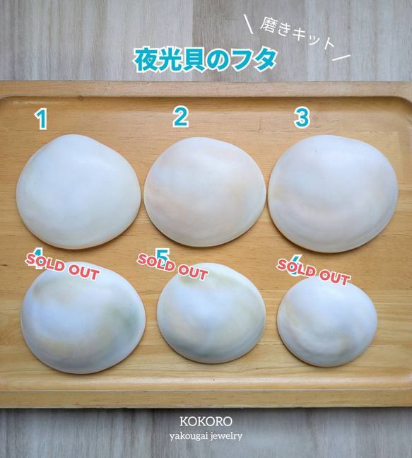 夜光貝のフタ磨きキット キット 夜光貝jewelry KOKORO 通販 14258209