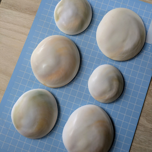 夜光貝のフタ磨きキット キット 夜光貝jewelry KOKORO 通販 14258209