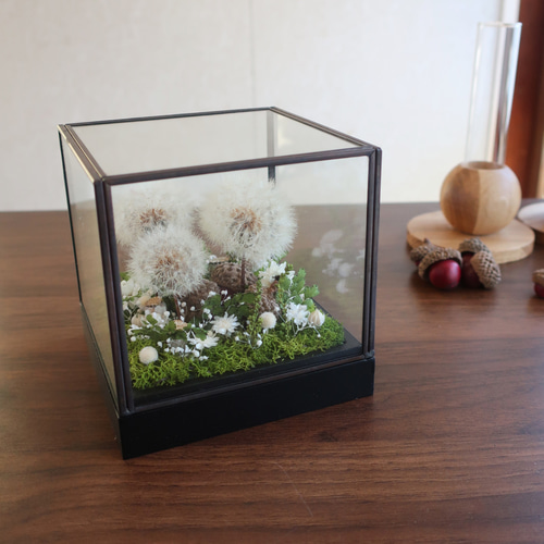 Wardiancase ウォードの箱 】 －タンポポ－ Antique（Black) ドライ