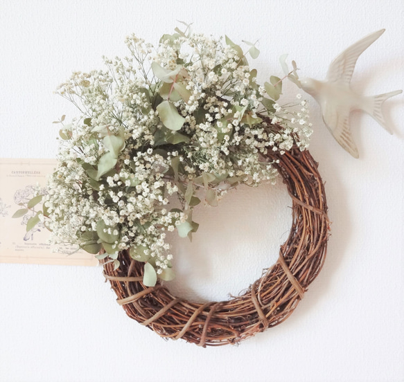 ユーカリ&かすみ草のリースドライフワラー