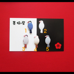 【選べるミニピン】文鳥４ 2枚目の画像