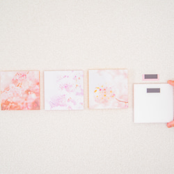 SQU4RE-Square- [Sakura Saku] 為你的新生活上色的室內照片 第9張的照片