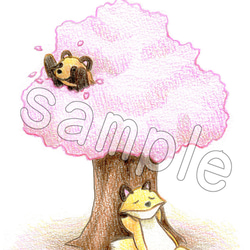 桜の季節のタヌキとキツネのポストカード 5枚目の画像