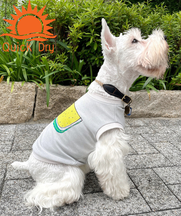 夏用♫ わんちゃん用すいかDRY 袖なしシャツ Ash 犬 DOG わんこ 接触冷感　熱中症対策 4枚目の画像