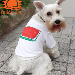 夏用♫ わんちゃん用すいかDRY 袖なしシャツ White 犬 DOG わんこ 接触冷感　熱中症対策 2枚目の画像