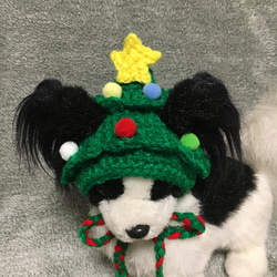 ツリーの帽子❤️小型犬用帽子・猫用帽子❤️クリスマス 2枚目の画像